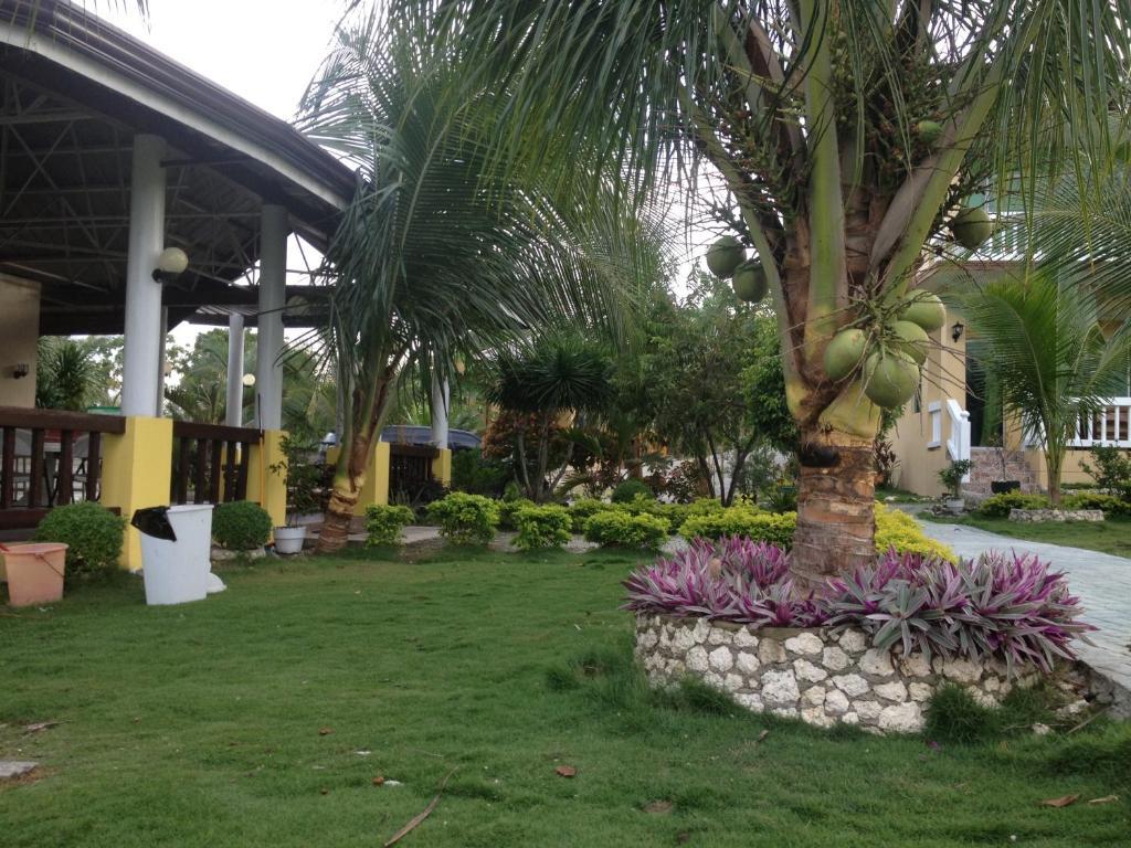Moalboal Beach Resort Alcantara  Luaran gambar