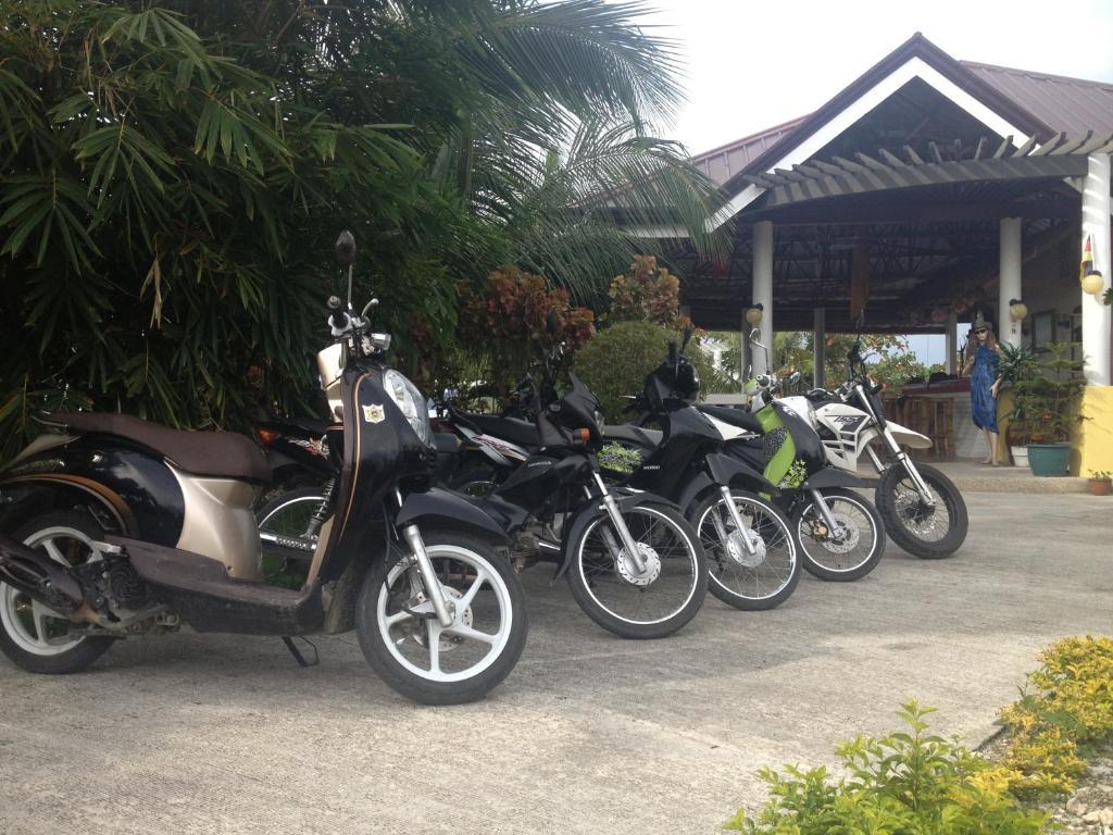 Moalboal Beach Resort Alcantara  Luaran gambar